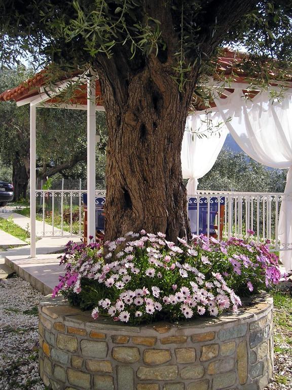 כריסי אמודיה Golden Beach Inn חדר תמונה